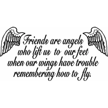 C0281 Friends are angels…