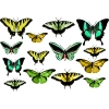 Zestaw naklejek z zielonymi i żółtymi motylkami