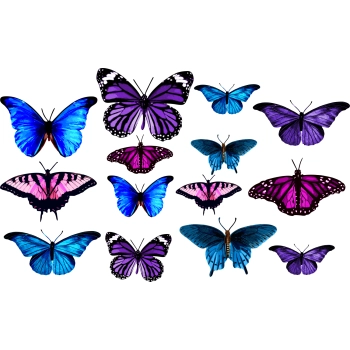 Zestaw naklejek z niebieskimi i różowymi motylkami