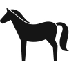 W0612 Arkusz z końmi