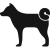 W0622 Arkusz z psami