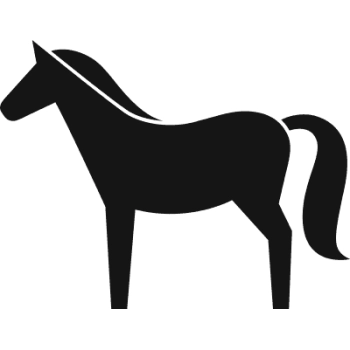 W061 Koń